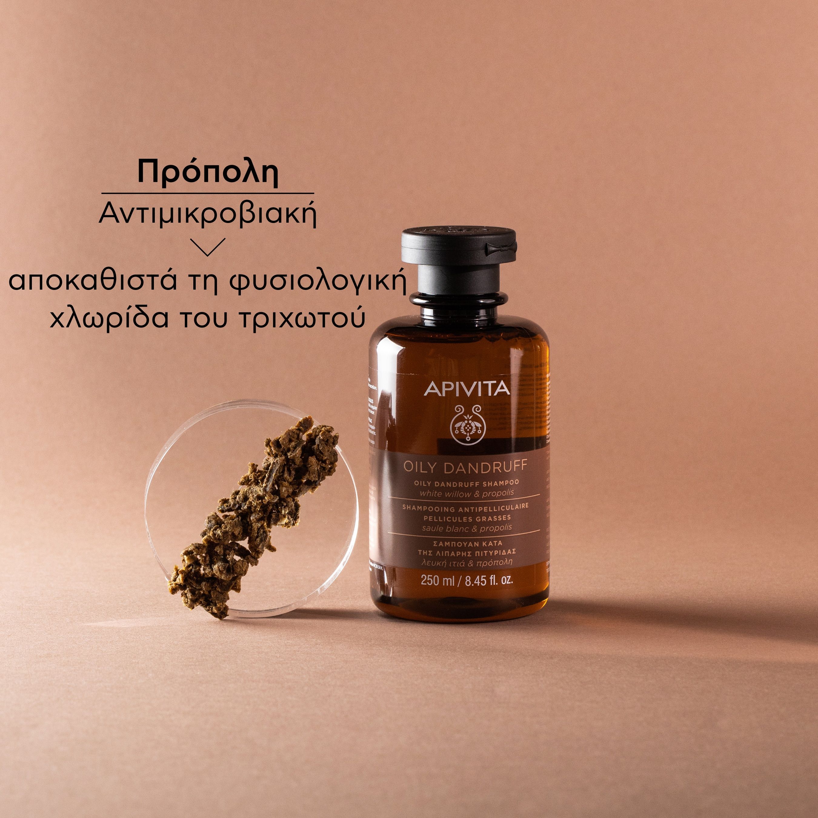 Apivita Σαμπουάν κατά της Λιπαρής Πιτυρίδας με Λευκή Ιτιά & Πρόπολη 250ml