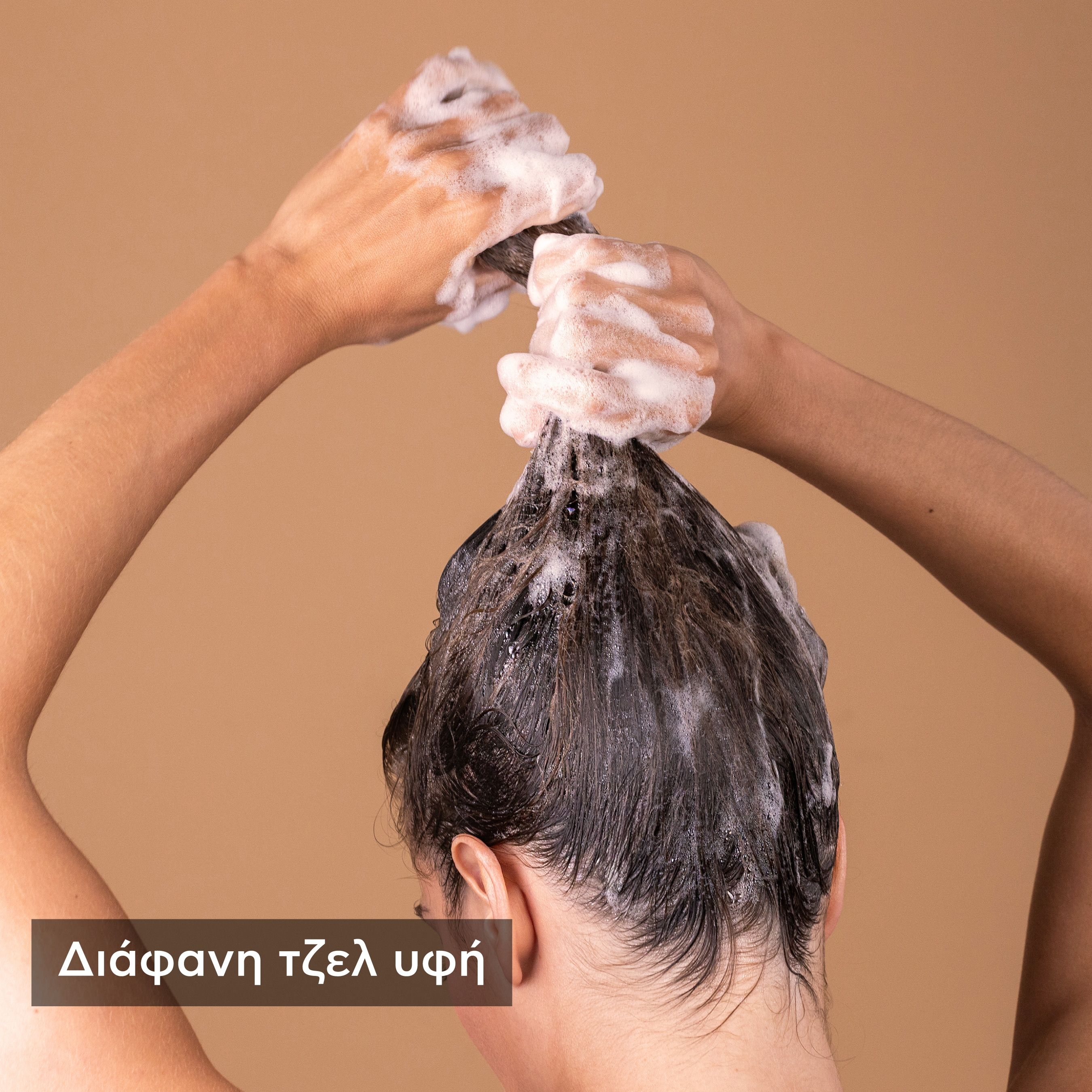 Apivita Celery & Propolis Dry Dandruff, Σαμπουάν Κατά της Ξηροδερμίας, 500ml