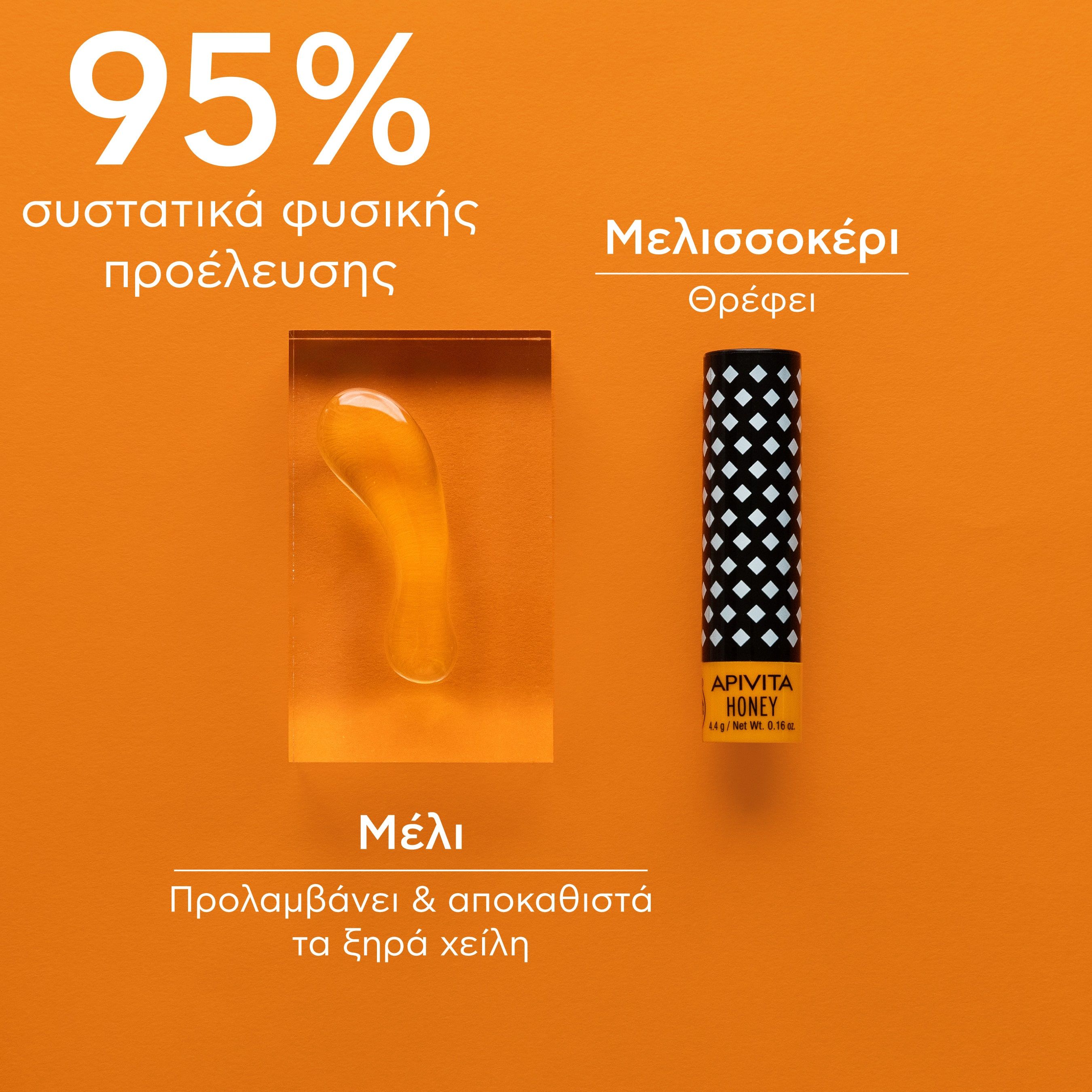 Apivita Honey Bio-Eco Lip Care με Μέλι 4.4gr