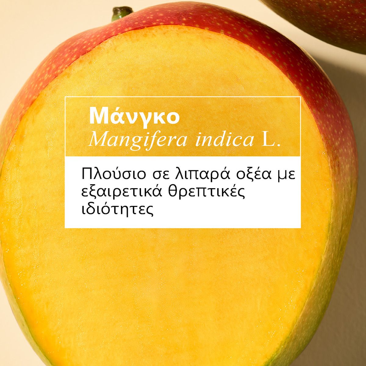 Klorane Shampooing Au Beurre De Mangue Σαμπουάν με Βούτυρο Μάνγκο για Θρέψη στα Μαλλιά 200ml