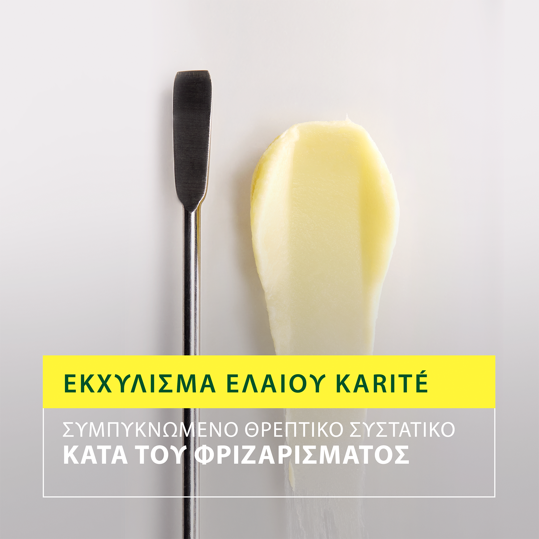 Rene Furterer Sublime Karite Ενυδατικό Σαμπουάν Λείανσης για Ξηρά/Πολύ Ξηρά Μαλλιά, 500ml