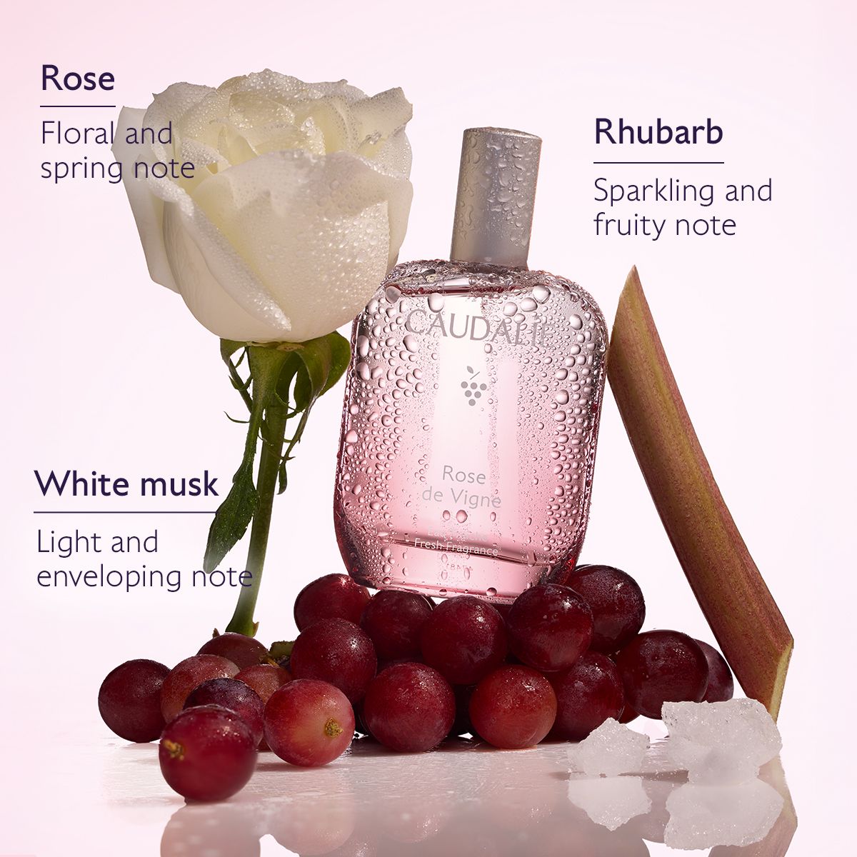 Caudalie Rose de Vigne Fresh Fragrance, Γυναικείο Άρωμα 50ml