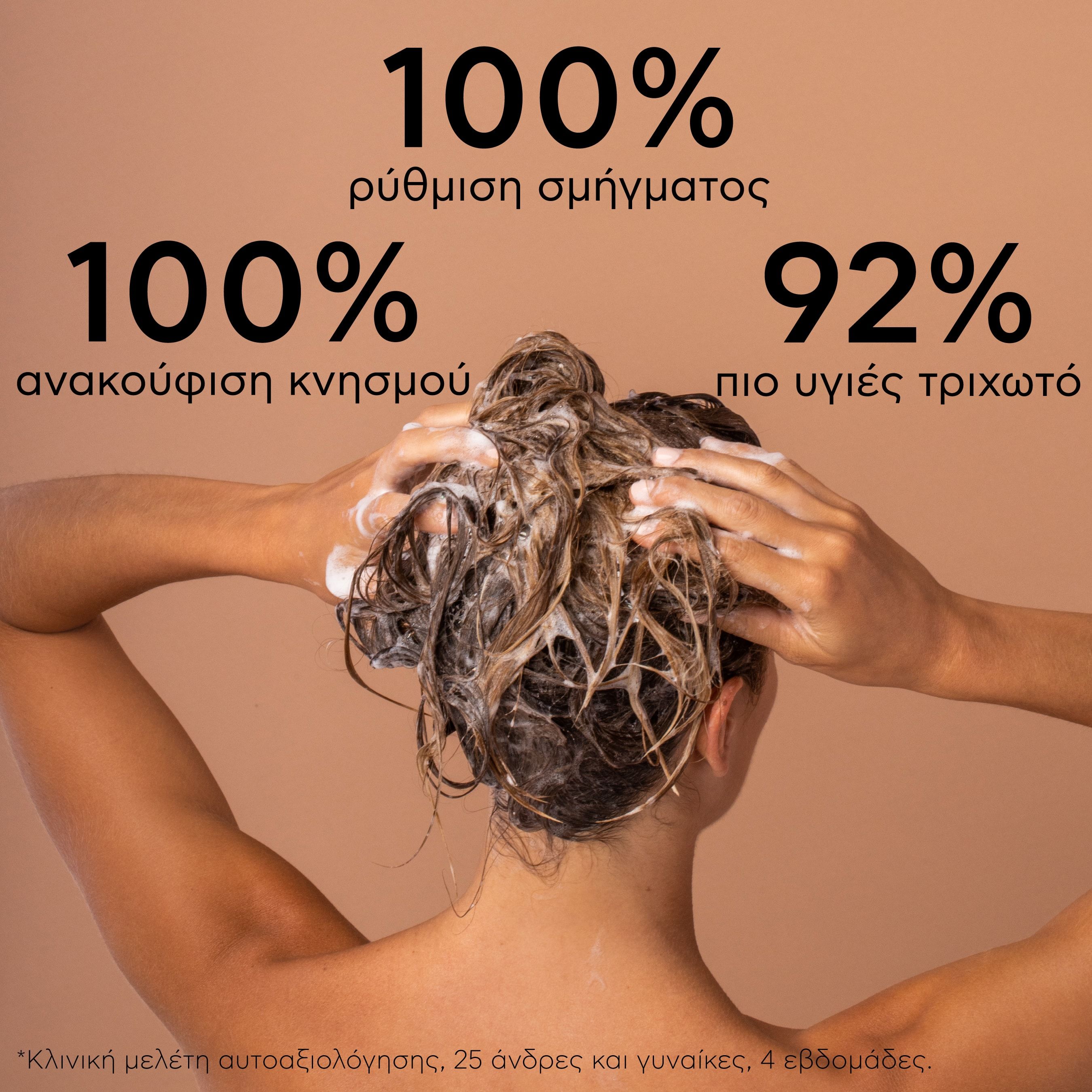 Apivita Σαμπουάν κατά της Λιπαρής Πιτυρίδας με Λευκή Ιτιά & Πρόπολη 250ml