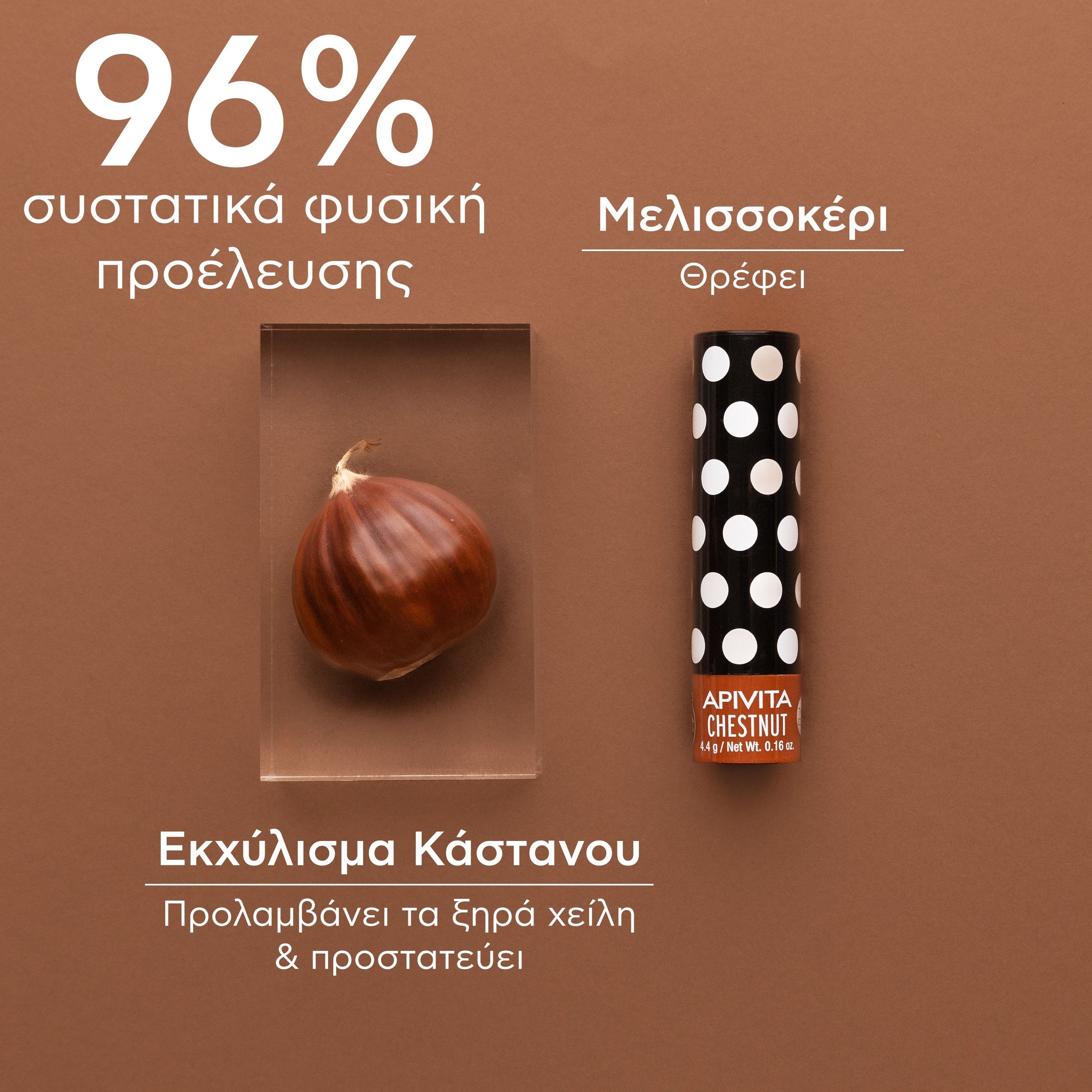 Apivita Chestnut Lip Care με Κάστανο,Ελαφριά Σοκολατί Απόχρωση 4.4gr