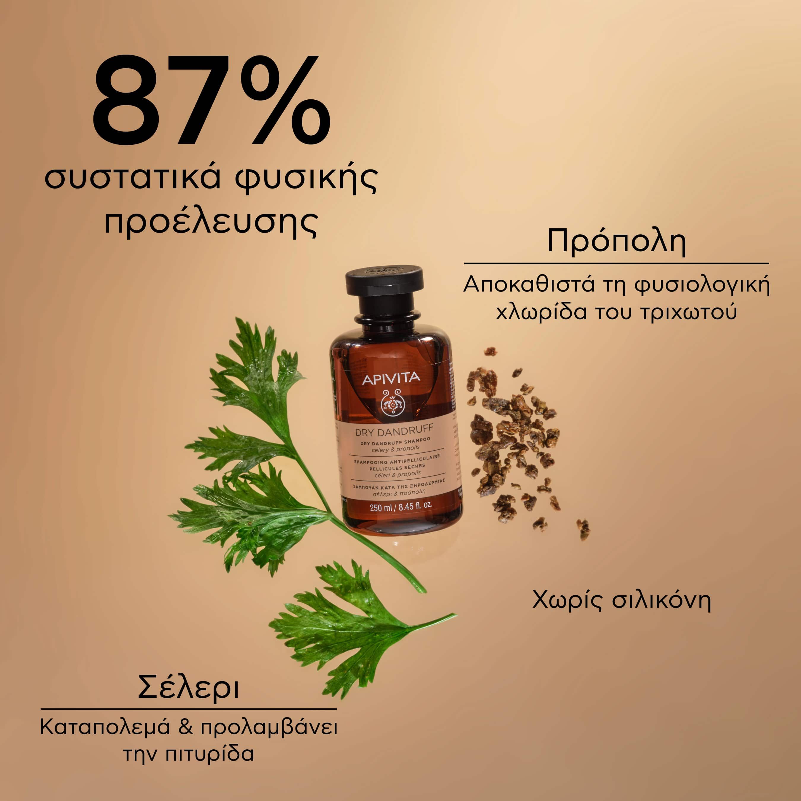 Apivita Σαμπουάν Κατά της Ξηροδερμίας με Σέλερι & Πρόπολη 250ml