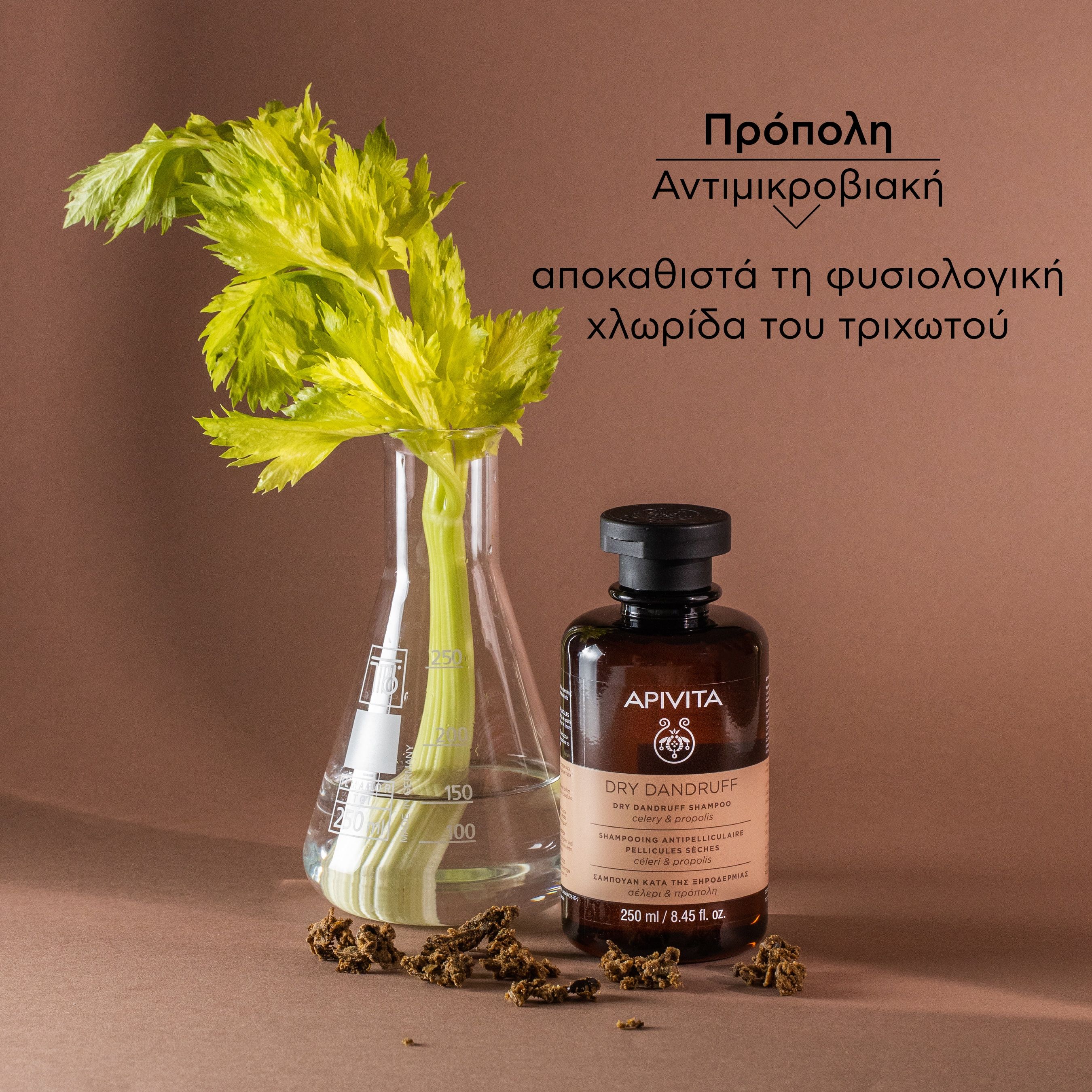 Apivita Σαμπουάν Κατά της Ξηροδερμίας με Σέλερι & Πρόπολη 250ml