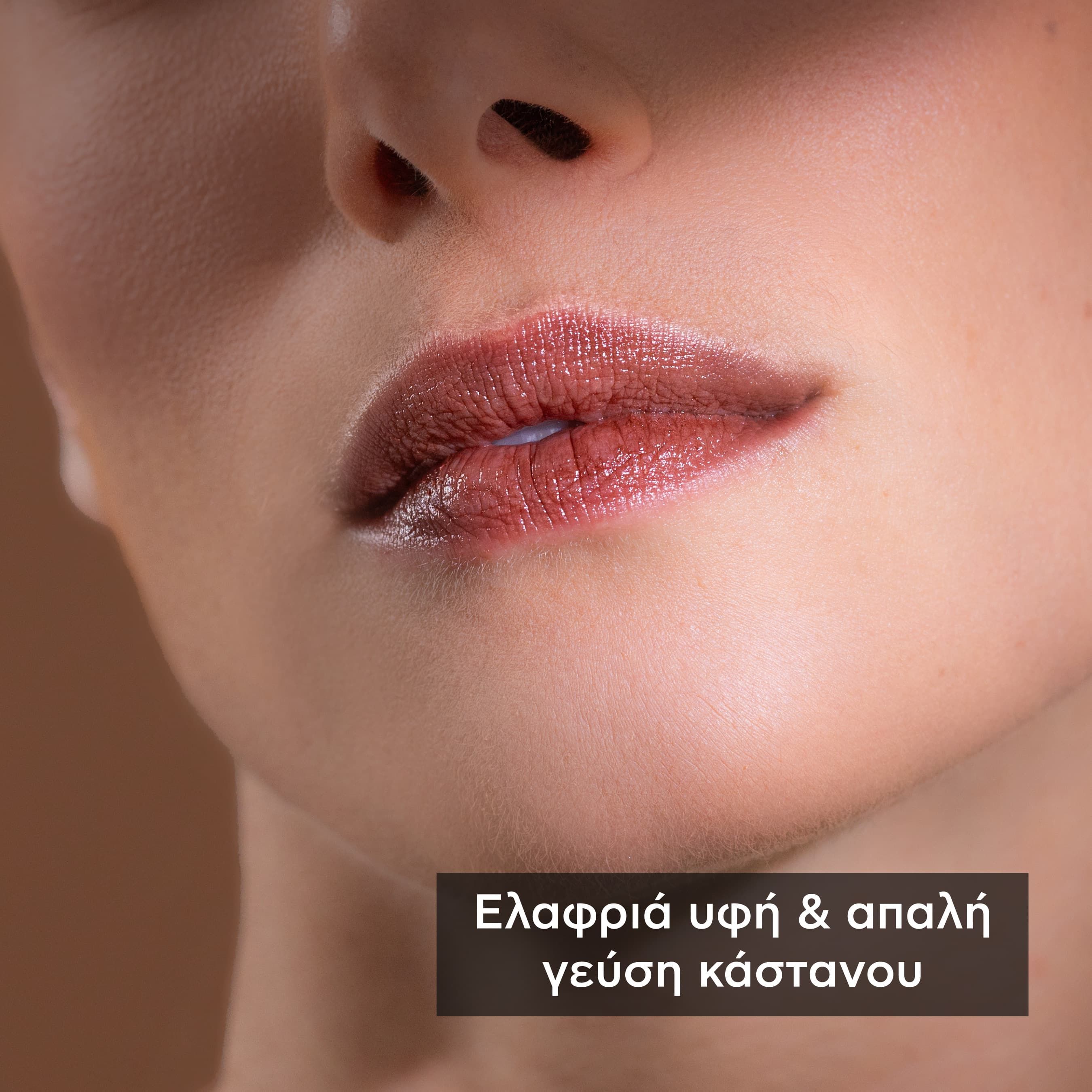 Apivita Chestnut Lip Care με Κάστανο,Ελαφριά Σοκολατί Απόχρωση 4.4gr