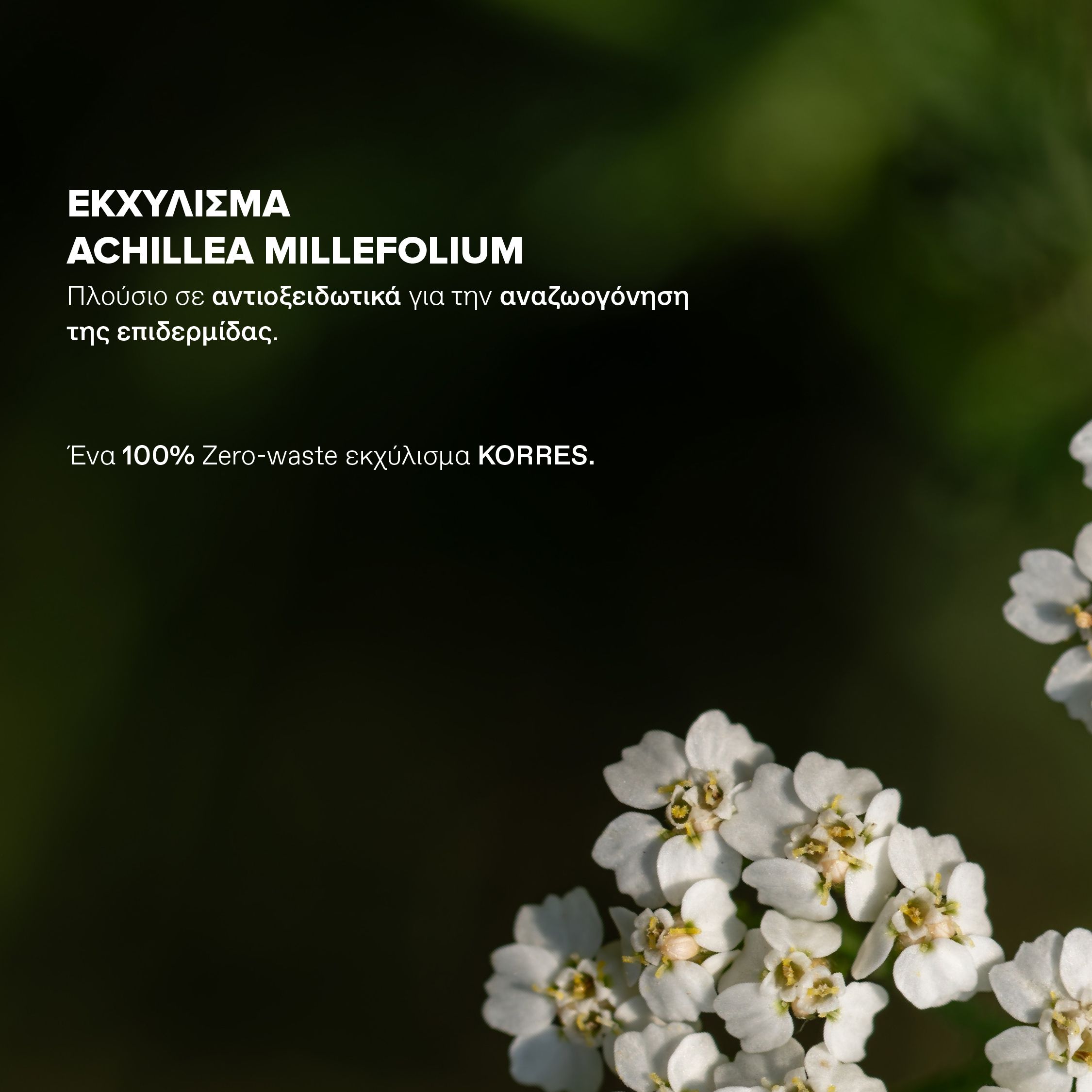 Korres Athenian Grooming, Αντιγηραντική Κρέμα Προσώπου & Ματιών για Άνδρες, 50ml