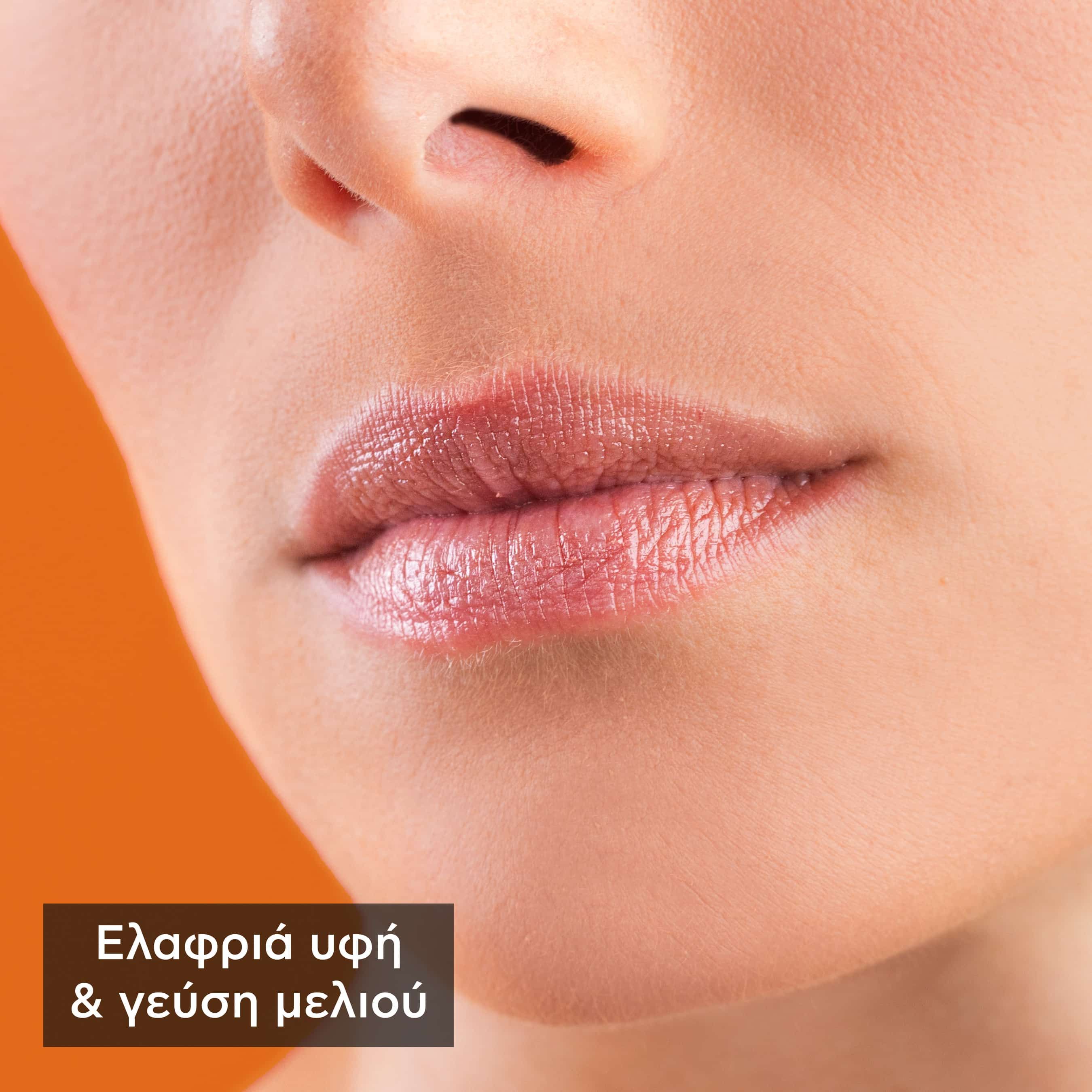 Apivita Honey Bio-Eco Lip Care με Μέλι 4.4gr