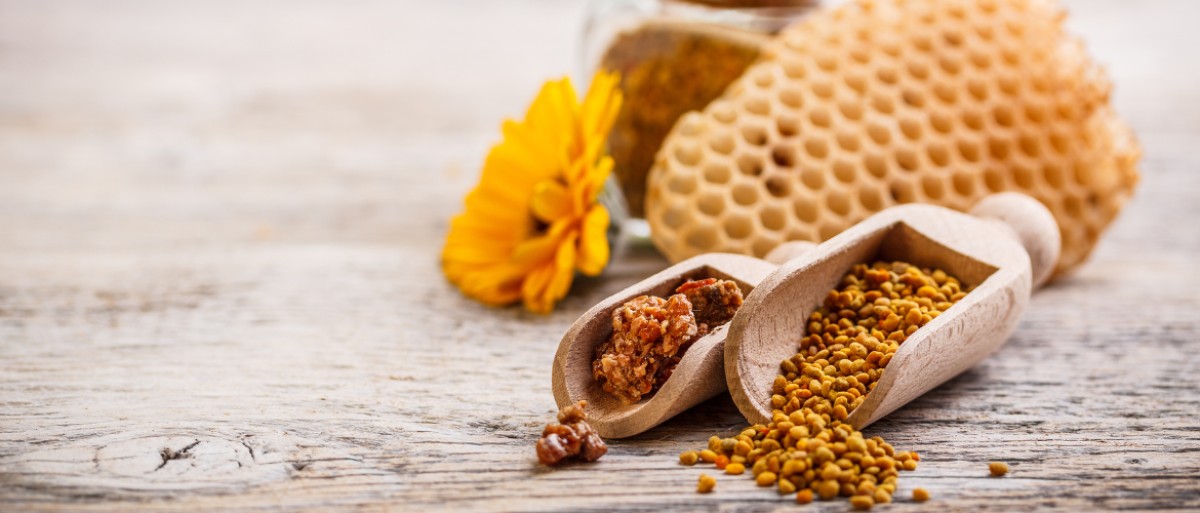 Propolis: What are its properties and benefits photo