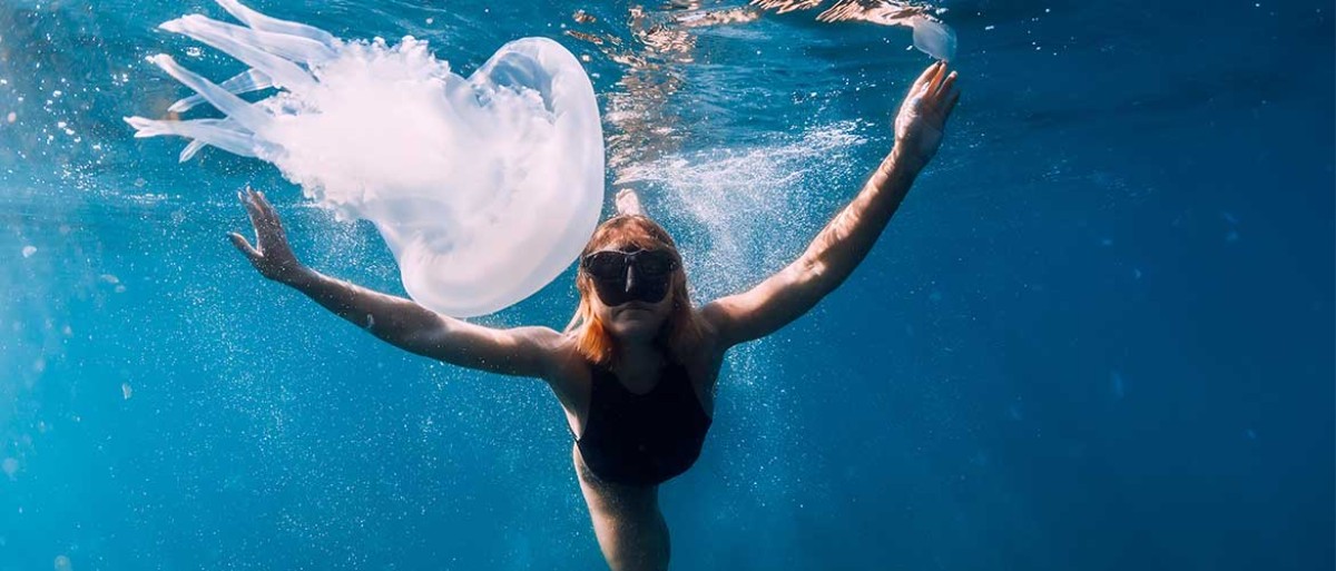 Αντιμετωπίζοντας και προλαμβάνοντας τις ενοχλητικές τσούχτρες! photo