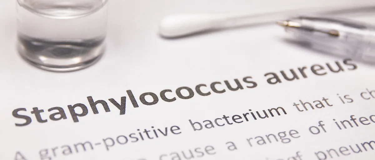 Staphylocoque : symptômes, transmission et traitement (photo)