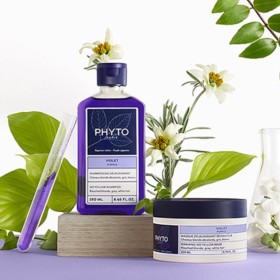 Phyto - Purple Phyto - Purple