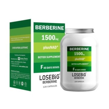 Losebig Berberine 1500mg, 120 Capsules