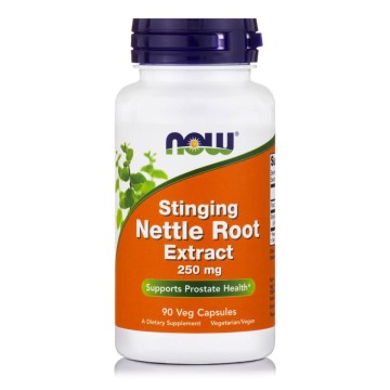 Now Foods Nettle Root Extract Vegetarian 250mg 90 φυτικές κάψουλες Now Foods Nettle Root Extract Vegetarian 250mg 90 φυτικές κάψουλες