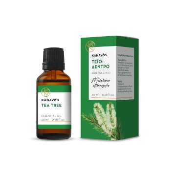 Kanavos Αιθέριο Έλαιο Τεϊόδεντρου 20ml Kanavos Αιθέριο Έλαιο Τεϊόδεντρου 20ml