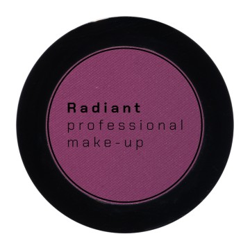 Radiant Professional Eye Color 295 Prune Mat