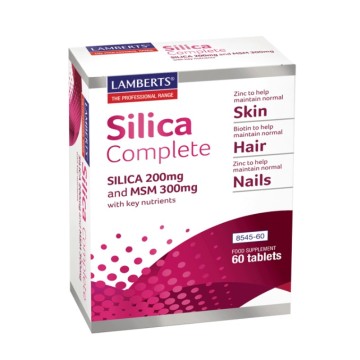 Lamberts Silica Complete, 200 mg et MSM 300 mg, peau, cheveux et ongles, 60 comprimés