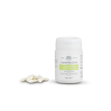 Mastihashop Mastiha Chewing Gum Probiotics & Zinc Mint Flavour 20 τ...