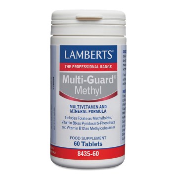 Lamberts Multi Guard Methyl 60 Tablets Lamberts Multi Guard Methyl 60 Tablets