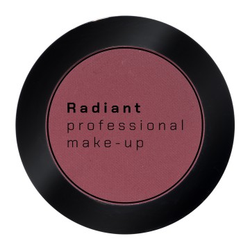 Radiant Professional Eye Color Matte 299 Terracotta