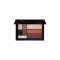 Radiant Special Edition Total Look Smokey Collection