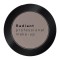 Radiant Professional Eye Color Matte 304 Grey Brown