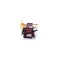 Phyto Travel Kit Phytocitrus Shampooing 50ml, Masque Regenerant 50m...
