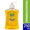 Dettol Soft on Skin Citrus Antibakterielle flüssige Cremeseife 250 ml