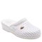 Scholl Clog Back Guard Scholl Clog Back Guard