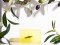 Olive Touch Soap With Oraganic Olive Oil Olive Leaves 100gr Olive Touch Soap With Oraganic Olive Oil Olive Leaves 100gr