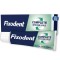 Fixodent Complete Strong Hold with Extra Fresh Flavor 47g