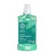 Natura Siberica Natural Mouthwash 7 Siberian Herbs Strong Teeth & G...