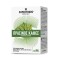 Superfoods Green Coffee, Super Diet 2500mg, 90caps