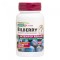 Natures Plus Herbal Actives Bilberry Extended Release 100mg 30 ταμπ...