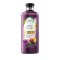 Herbal Gold Moringa Σαμπουάν Απαλότητας με Έλαιο Golden Moringa 400ml