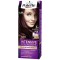 Palette Hair Dye Semi-Set N4.26 Plum