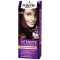 Palette De Teinture Pour Cheveux Semi-Set N4.26 Prune