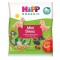 Hipp Mini Dinos with Cranberry, Blackcurrant and Ancient Grain  12Μ...