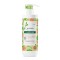 Klorane junior shampo zbutëse me tërshërë të kultivuar organikisht 500ml