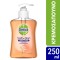 Dettol Υγρο Grapefruit 250 ml