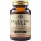 Solgar L-Carnitin 500 mg, erhöht die Ausdauer und die natürliche Funktion des Stoffwechsels 60 Tabletten