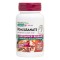 Natures Plus Pomegranate Extended 30tabs 400mg Natures Plus Pomegranate Extended 30tabs 400mg
