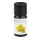 Medisana Αρωματικό Χώρου με Ylang-Ylang 10ml