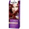 Palette Hair Dye Semi-Set N6.65 Blond Dunkles Intensives Rot