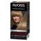 Syoss Color N7-6 Blonde Honey