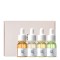 Beauty of Joseon Hanbang Serum Discovery Kit, 1 τεμάχιο Beauty of Joseon Hanbang Serum Discovery Kit, 1 τεμάχιο