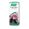 A.Vogel Centaurium Drops, Βάμμα Φρέσκου Κενταύριου 50ml