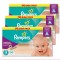 Pampers Active Fit Midi Nο3 (5-9kgr), 120 Tεμάχια 2+1 ΔΩΡΟ