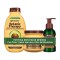 Garnier Promo Botanic Therapy Avocado Oil & Shea Butter Shampoo 400...